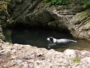 Anello ‘Madunina del Giong’- Prati Parini da Botta di Sedrina-21magg22- FOTOGALLERY